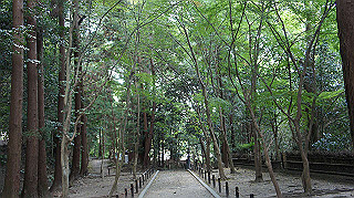 dsc00046_thumb.jpg