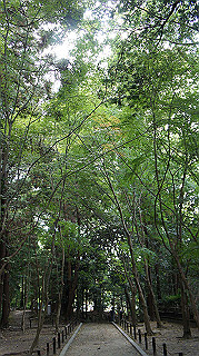 dsc00047_thumb.jpg