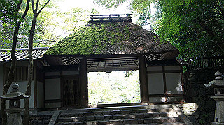 dsc00049_thumb.jpg