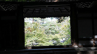 dsc00050_thumb.jpg