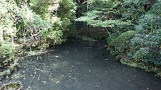 dsc00059_thumb.jpg