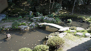 dsc00066_thumb.jpg