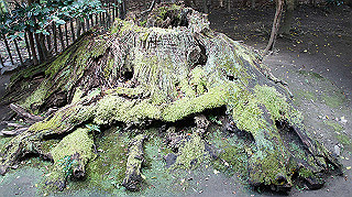 dsc00070_thumb.jpg