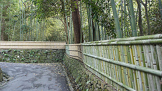 dsc00075_thumb.jpg