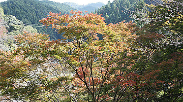 dsc00026_thumb.jpg