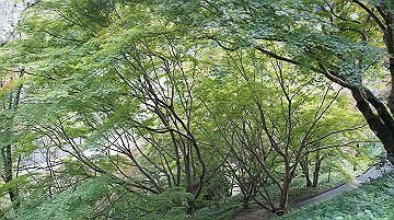 dsc00027_thumb.jpg