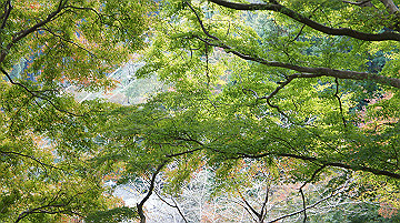 dsc00028_thumb.jpg