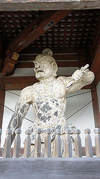 dsc00045_thumb.jpg