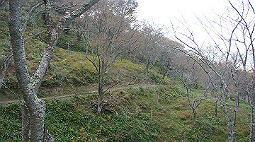 dsc00092_thumb.jpg