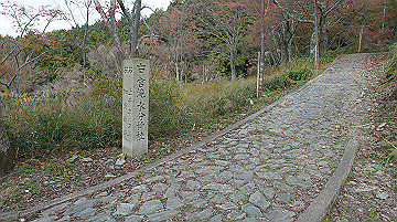 dsc00093_thumb.jpg