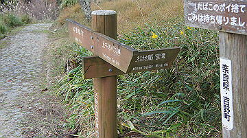 dsc00094_thumb.jpg