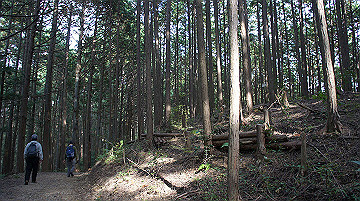 dsc00105_thumb.jpg
