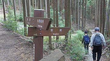 dsc00106_thumb.jpg