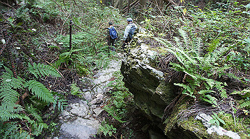 dsc00112_thumb.jpg