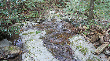 dsc00123_thumb.jpg