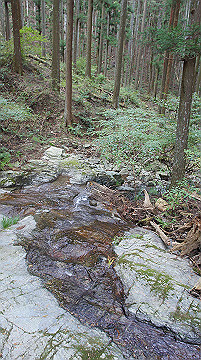 dsc00124_thumb.jpg