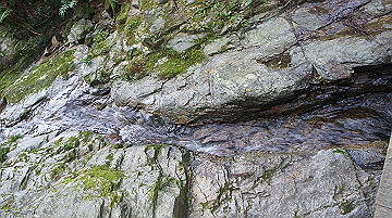dsc00125_thumb.jpg