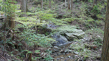 dsc00127_thumb.jpg