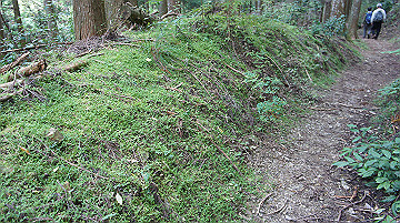 dsc00131_thumb.jpg