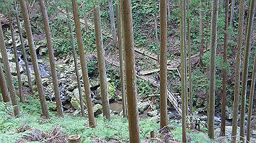 dsc00138_thumb.jpg