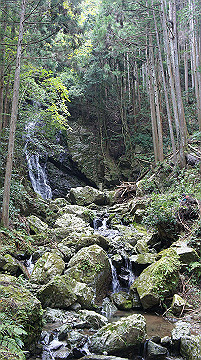 dsc00141_thumb.jpg