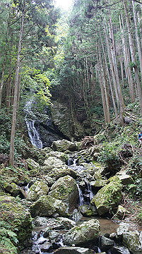 dsc00142_thumb.jpg