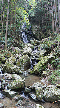 dsc00144_thumb.jpg