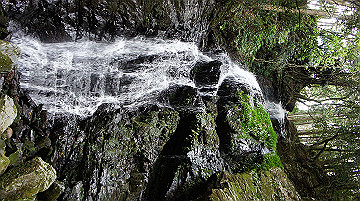 dsc00150_thumb.jpg