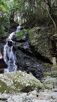 dsc00156_thumb.jpg