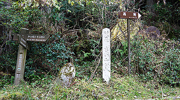 dsc00160_thumb.jpg