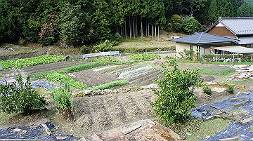 dsc00164_thumb.jpg