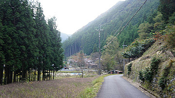dsc00167_thumb.jpg