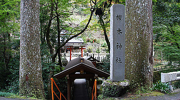 dsc00169_thumb.jpg