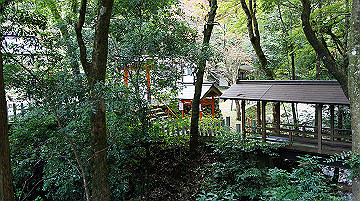 dsc00172_thumb.jpg