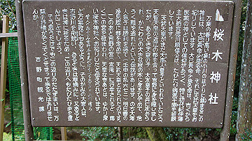 dsc00173_thumb.jpg