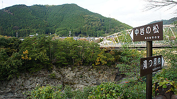 dsc00183_thumb.jpg