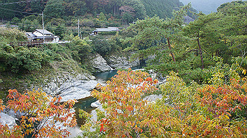 dsc00187_thumb.jpg