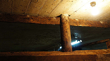 dsc00201_thumb.jpg