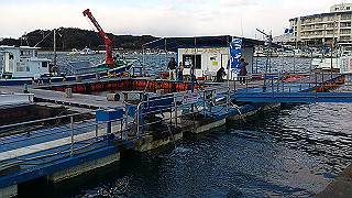 dsc_0116_thumb.jpg