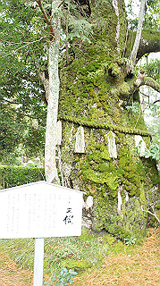 dsc00028_thumb.jpg
