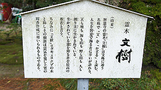 dsc00029_thumb.jpg
