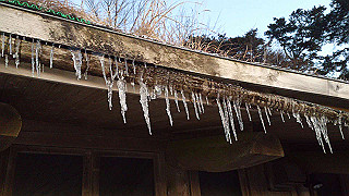 20130101007_thumb.jpg