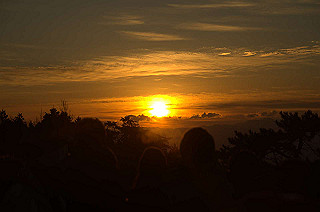 20130101019_thumb.jpg
