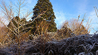 20130101025_thumb.jpg