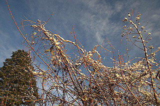20130101027_thumb.jpg
