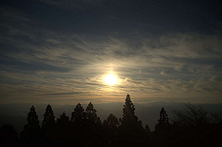 20130101031_thumb.jpg