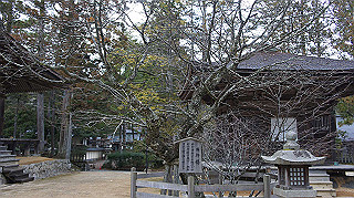 dsc00014_thumb.jpg
