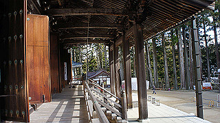 dsc00031_thumb.jpg