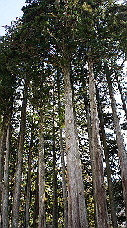 dsc00033_thumb.jpg