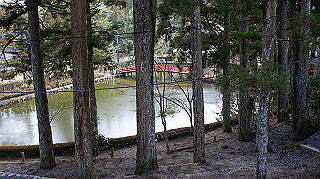 dsc00052_thumb.jpg